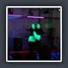 DSC02088
